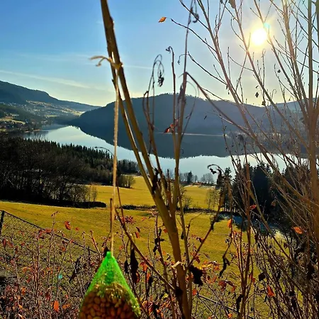 Knobelauch Family Home, Valdres Vole